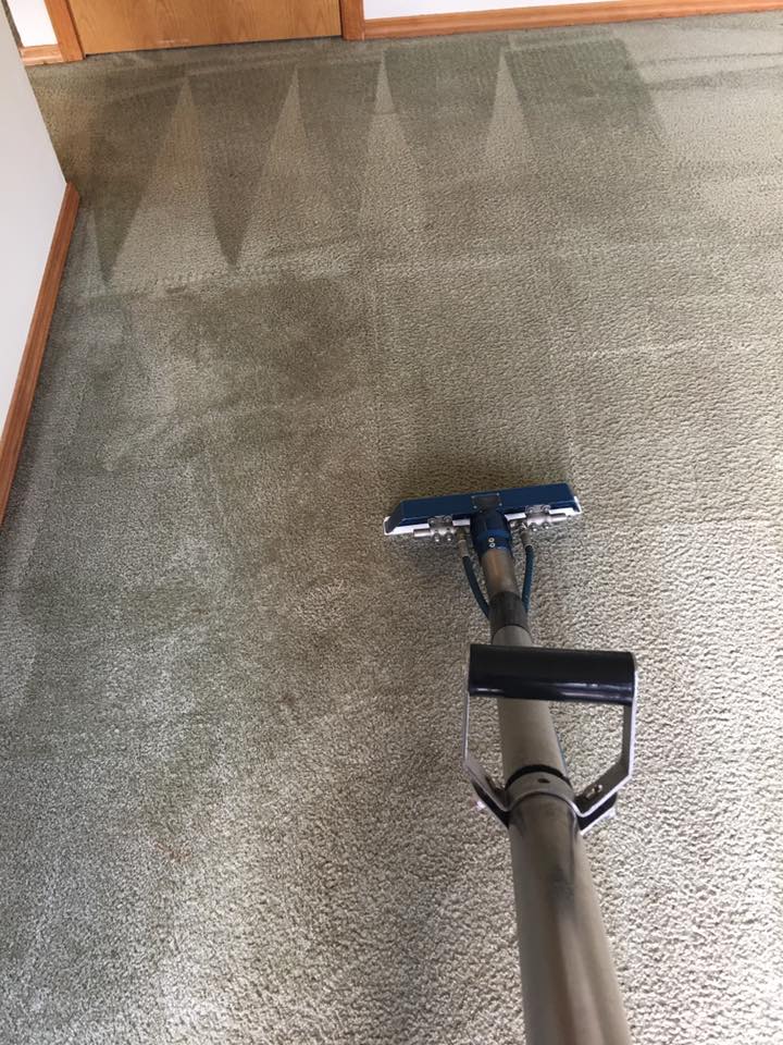 Image for Wizard Carpet Cleaning with ID of: 1584864