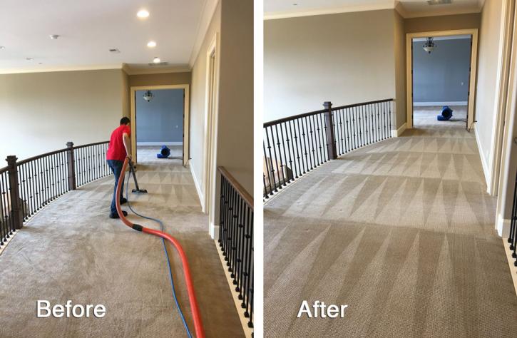 Image for Wizard Carpet Cleaning with ID of: 1584872