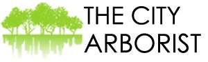 Image for The City Arborist with ID of: 1587873