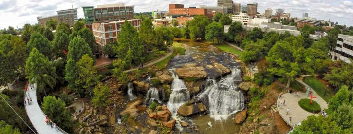 Image for The City Arborist with ID of: 1587881