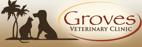 Image for Groves Veterinary Clinic with ID of: 1590440