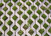 Image for Permeable Paver Guys with ID of: 1590935