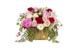 Image for Yasmeena's Floral with ID of: 1591585