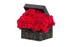 Image for Yasmeena's Floral with ID of: 1591589