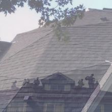 Image for Bates Roofing LLC with ID of: 1593473