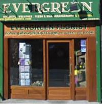 Image for Evergreen Florists Galway with ID of: 1595470
