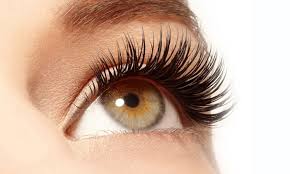 Image for Lash and Wax with ID of: 1595493