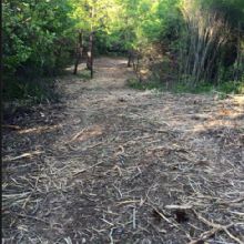 Image for Edwards Tree & Land Clearing Services Inc with ID of: 1596727