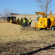 Image for Edwards Tree & Land Clearing Services Inc with ID of: 1596729