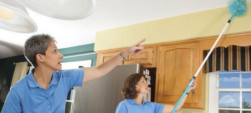Image for Little Mermaid Cleaning Services Corp. with ID of: 1596768