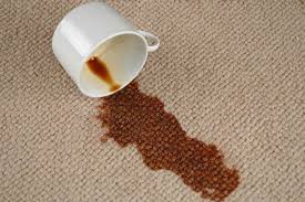 Image for Carpet Cleaning Northridge with ID of: 1597239