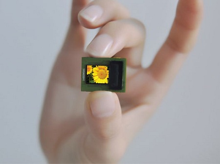 Image for Microdisplay Market, 2016-2024: Introduction, Drivers, Applications and Companies with ID of: 1597403