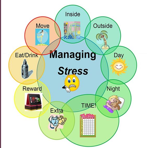 Image for Top Healthy Diets for Students with ID of: 1598359