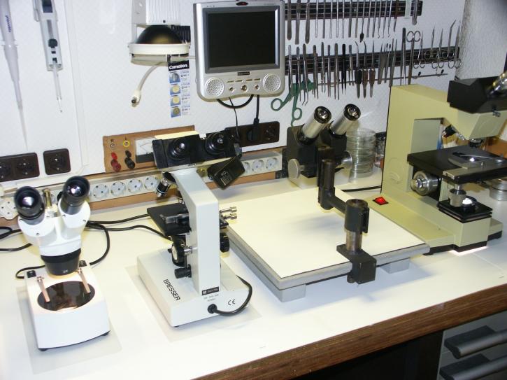 Image for Laboratory Information Management Systems(LIMS) Market to Surpass US$ 2.2 Billion by 2024 with ID of: 1600063