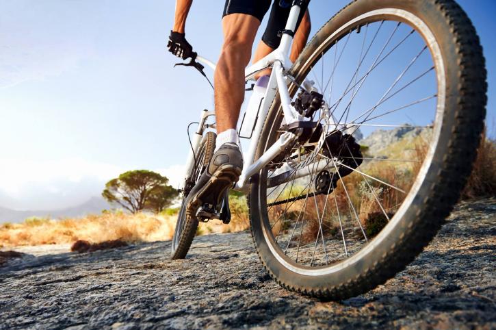 Image for Sarasota Cyclery with ID of: 1600283