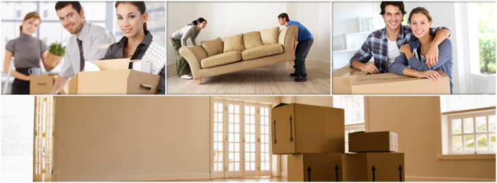 Image for A.M. P.M. Movers with ID of: 1600400