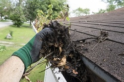 Image for Roswell Gutter Pros with ID of: 1600741