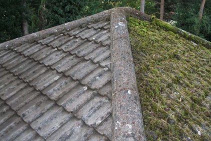 Image for Moss Removal Everett wa with ID of: 1602759