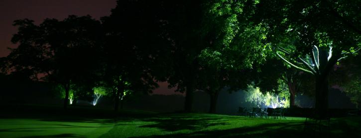 Image for Moonscape Landscape Illumination, LLC with ID of: 1603887