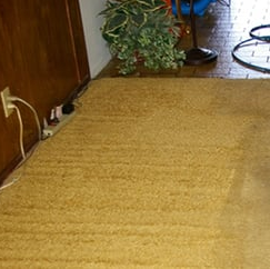 Image for Qwik Dry Carpet & Tile Cleaning Service with ID of: 1604464