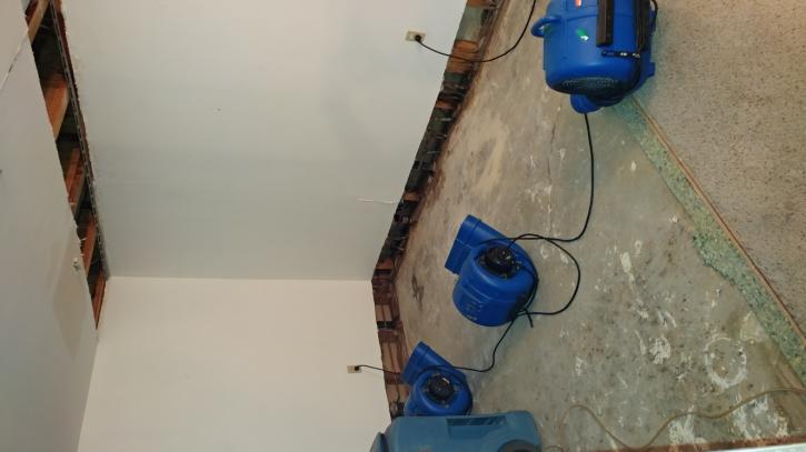 Image for All Clean Disaster Services with ID of: 1604719