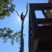 Image for DC Tree Service Inc. with ID of: 1604939