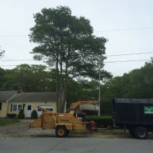 Image for DC Tree Service Inc. with ID of: 1604941