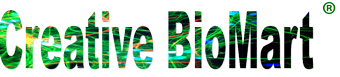 Image for SERPINE1 with ID of: 1606987