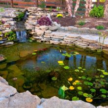 Image for Fountain Specialists with ID of: 1608324