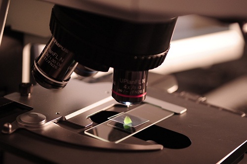 Image for Microbiology Analyzers And Consumables Market : Technological Advancements To Watch Out For Near Future; Global Industry Analysis 2024 with ID of: 1610279