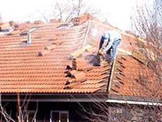 Image for Miami Roof-Tech with ID of: 1612364