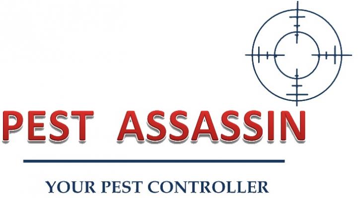 Image for Pest control in London with ID of: 1613807