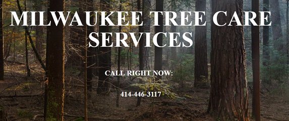 Image for Milwaukee Tree Care Services with ID of: 1614858