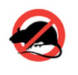 Image for Pest Control Long Beach with ID of: 1614865