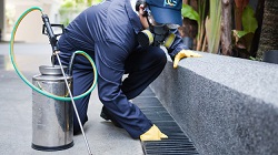 Image for Pest Control Long Beach with ID of: 1614866