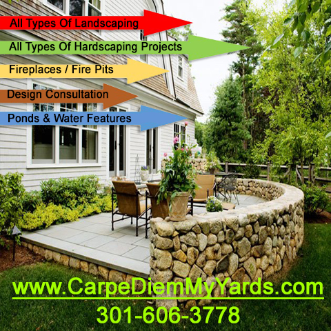 Image for Carpe Diem Yards, LLC with ID of: 1615573