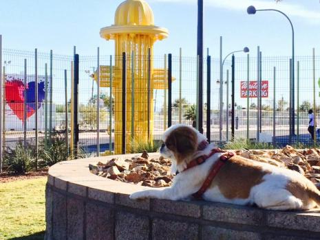 Image for The Hydrant Club with ID of: 1616064