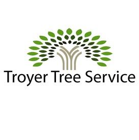 Image for Troyer Tree Service with ID of: 1616851
