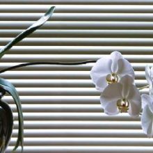 Image for Creative Window Treatments with ID of: 1616943