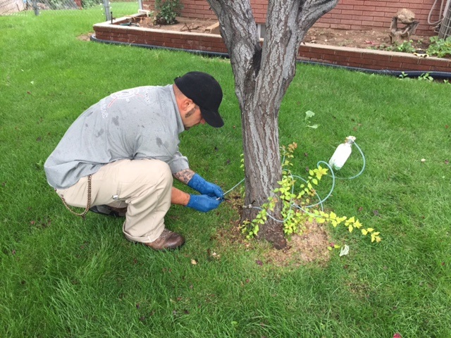 Image for Legacy Pest Control with ID of: 1617370