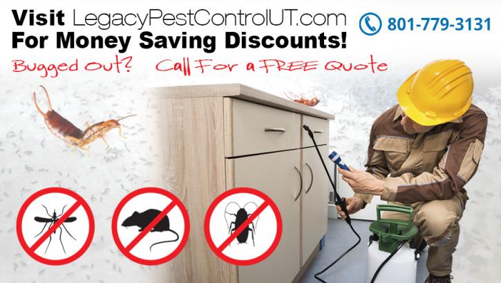 Image for Legacy Pest Control with ID of: 1617371