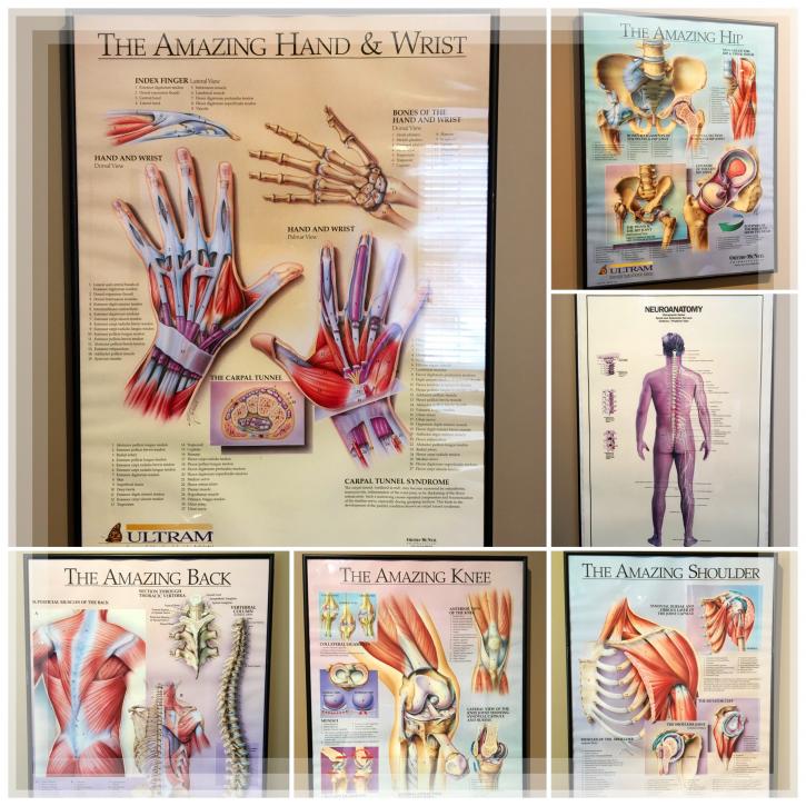 Image for Heritage Chiropractic & Wellness Center with ID of: 1617462
