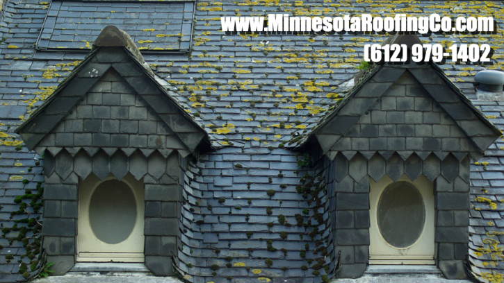 Image for AccuRoof Minnesota with ID of: 1618056