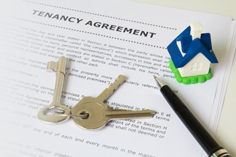 Image for Blue Frog Property Management with ID of: 1619434