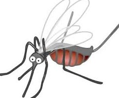 Image for Bugfree Backyard with ID of: 1620003