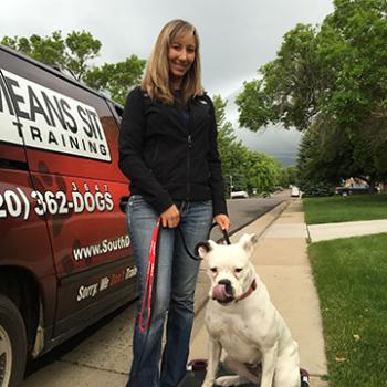 Image for Sit Means Sit South Denver with ID of: 1620340