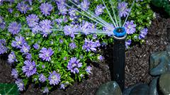 Image for Pro Irrigation Systems with ID of: 1621377