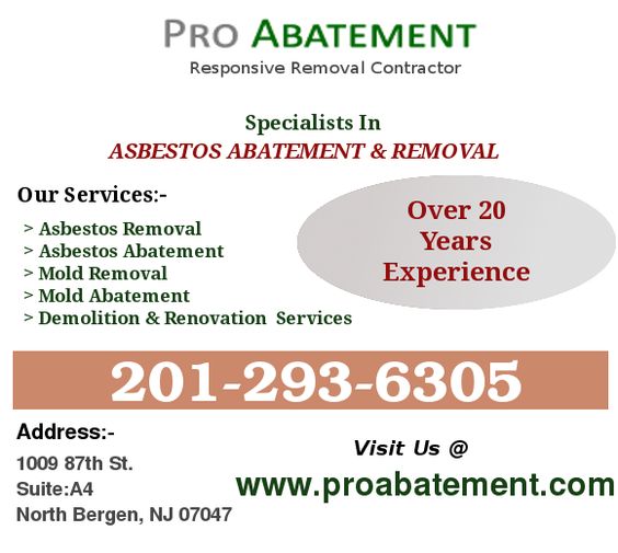 Image for Asbestos Tiles Removal with ID of: 1621392