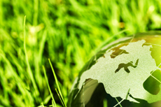 Image for Green Earth Exterminators with ID of: 1621689