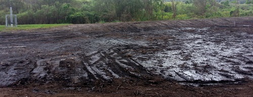 Image for Florida Land Clearing CO with ID of: 1622013